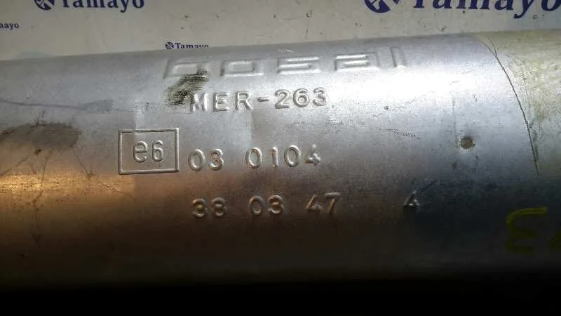 Silenciador Trasero para Citroën Zx