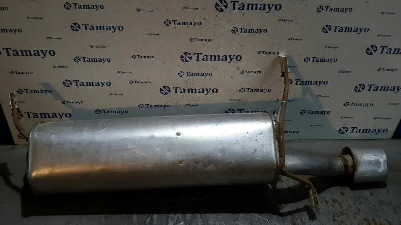 Silenciador Trasero para Citroën Zx