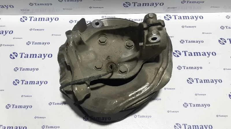 Mangueta Delantera Izquierda para Bmw Serie 3 Berlina (E90)
