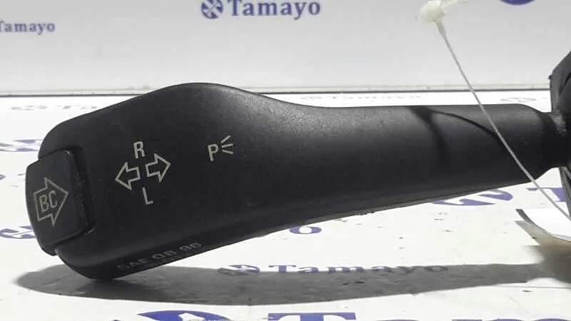 Mando Intermitentes para Bmw X5 (E53)
