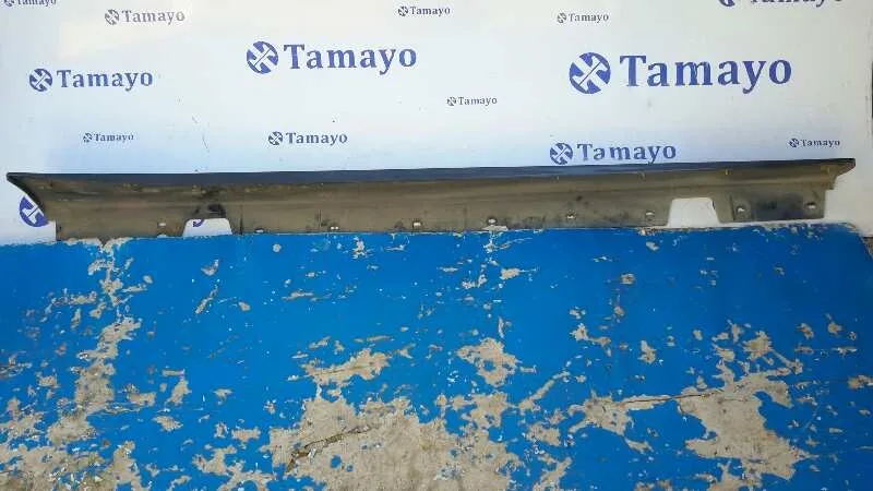 Talonera Izquierda para Bmw Serie 3 Berlina (E90)