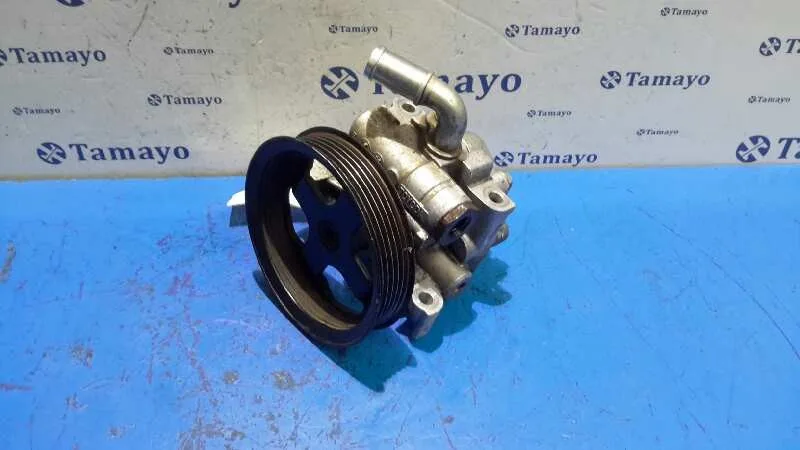 Bomba Servodireccion para Ford Transit Connect (Tc7)