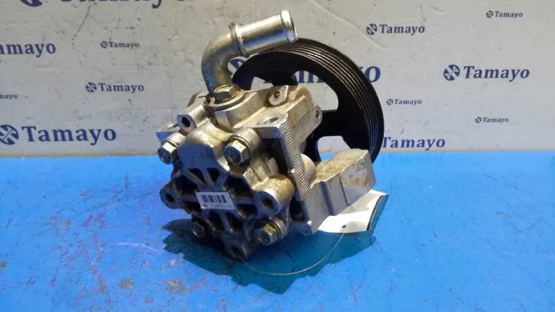 Bomba Servodireccion para Ford Transit Connect (Tc7)