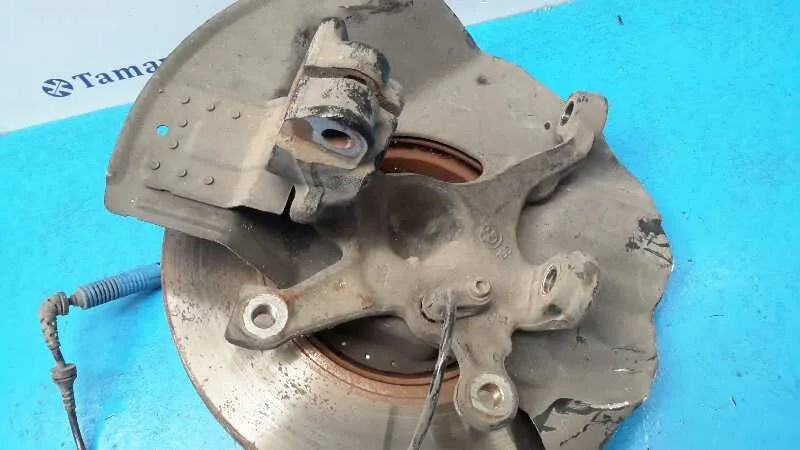 Mangueta Delantera Derecha para Bmw Z4 Roadster (E85)
