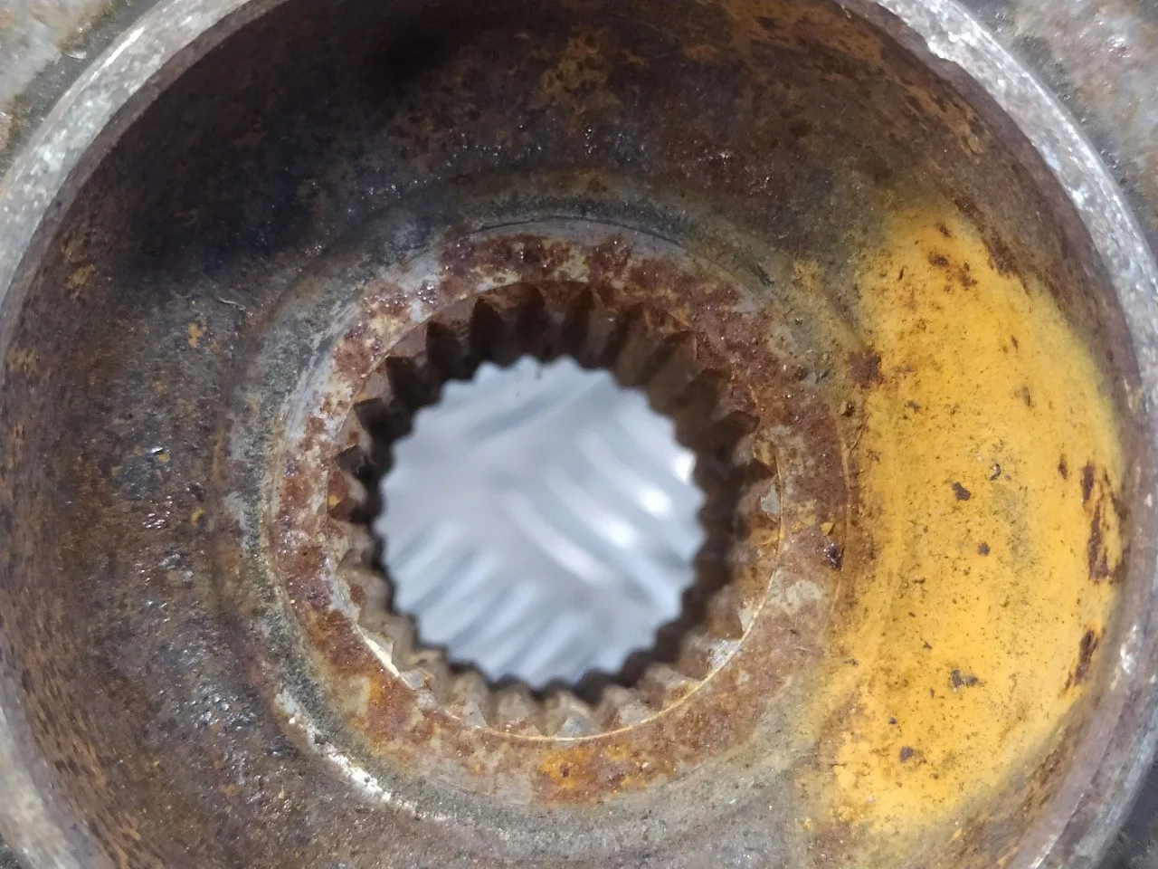 Mangueta Delantera Derecha para Renault Scenic Iii