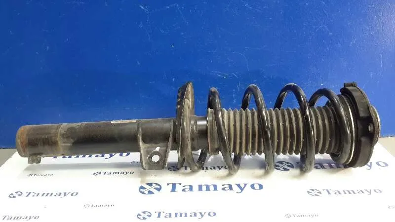 Amortiguador Delantero Izquierdo para Seat Leon (1P1)