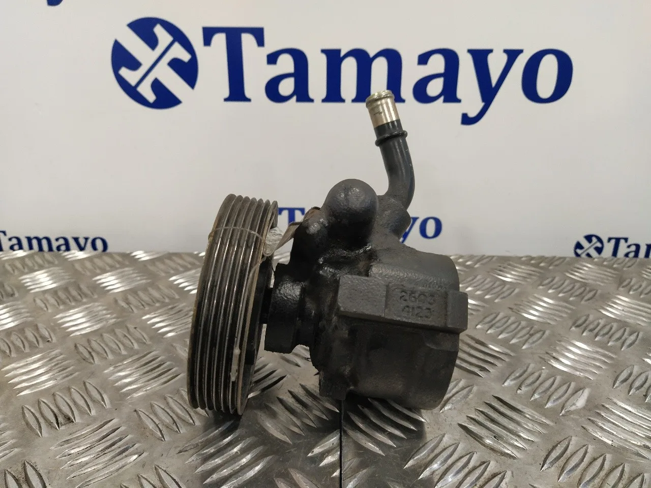 Bomba Servodireccion para Peugeot Boxer Caja Cerrada (Rs2850)(230)(->'02)