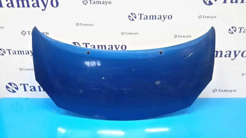 Capot para Renault Twingo