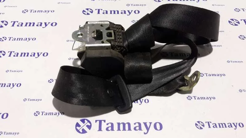 Cinturon Seguridad Trasero Derecho para Seat Altea (5P1)