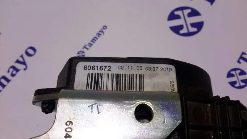 Cinturon Seguridad Trasero Derecho para Seat Altea (5P1)