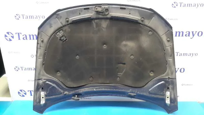 Capot para Volkswagen Passat Variant (3C5)