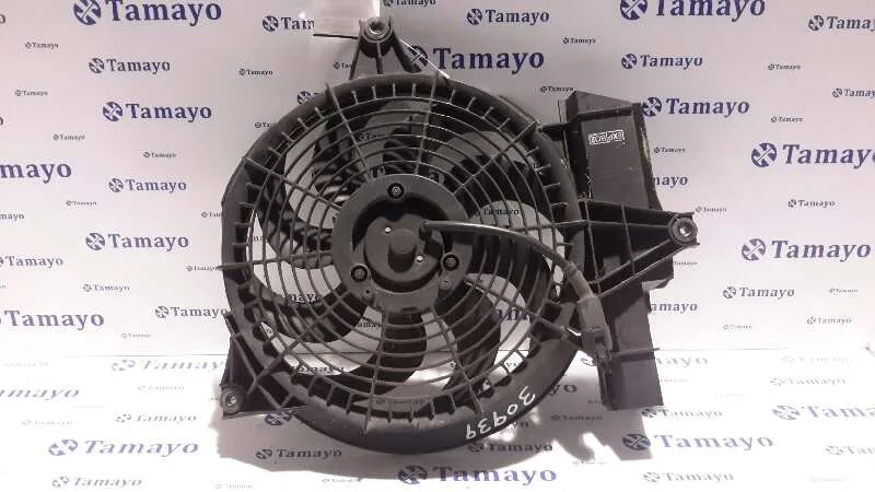 Electroventilador para Hyundai Santa Fe (Sm)