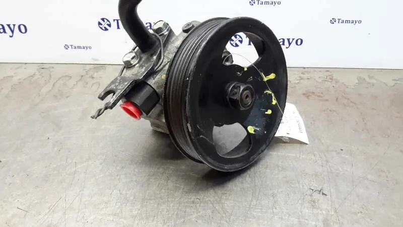 Bomba Servodireccion para Kia Carnival