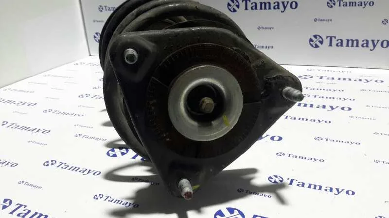 Amortiguador Delantero Derecho para Hyundai I30 (Gd)