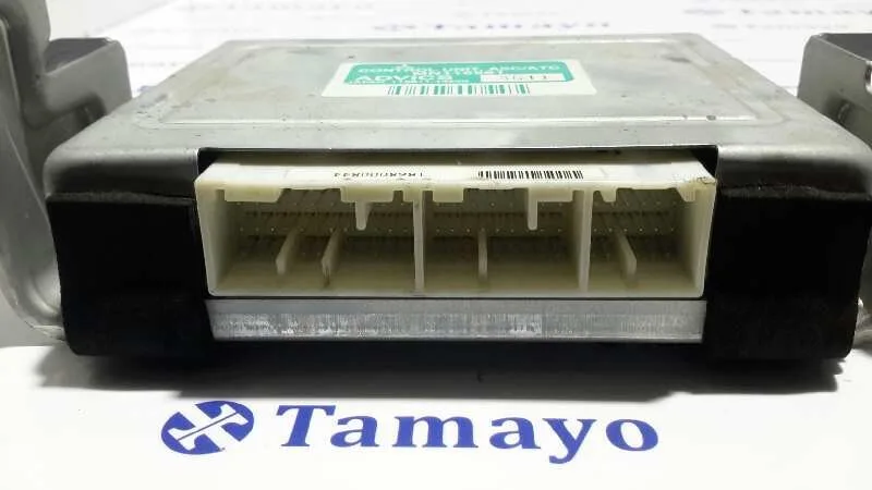 Modulo Electronico para Mitsubishi Montero (V60/V70)