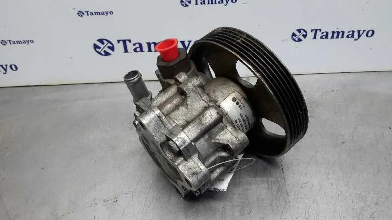 Bomba Servodireccion para Fiat Ulysse (179)