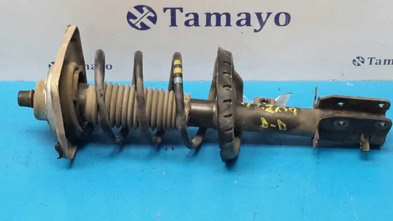 Amortiguador Delantero Derecho para Peugeot Expert Kasten