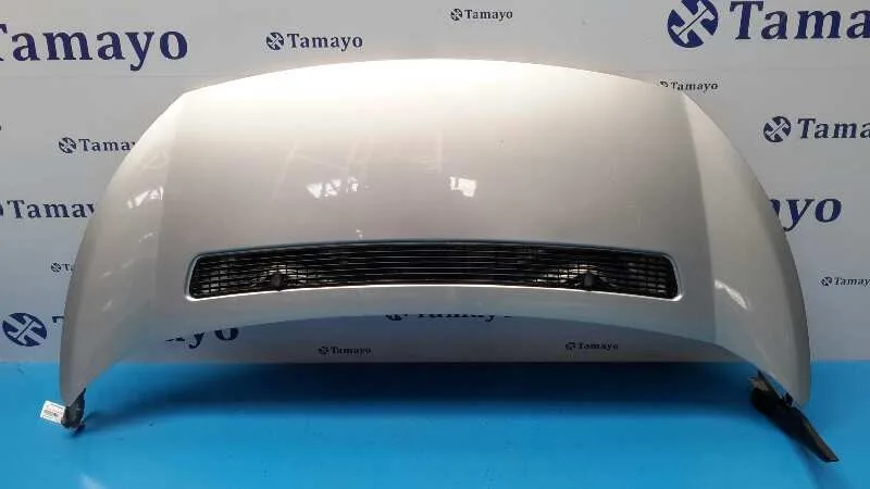 Capot para Peugeot Expert Kasten