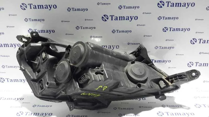 Faro Izquierdo para Peugeot Expert Kasten