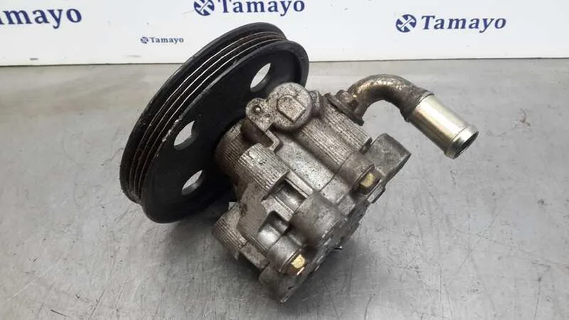 Bomba Servodireccion para Chrysler Voyager (Rg)