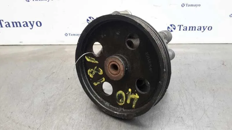 Bomba Servodireccion para Chrysler Voyager (Rg)
