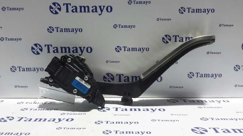 Potenciometro Pedal para Volkswagen Touareg (7La)