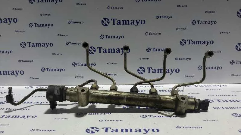 Rampa Inyectora para Kia Magentis