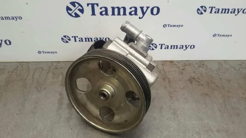 Bomba Servodireccion para Fiat Scudo (222)