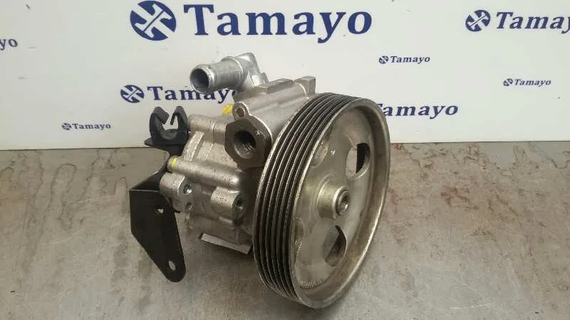 Bomba Servodireccion para Fiat Scudo (222)