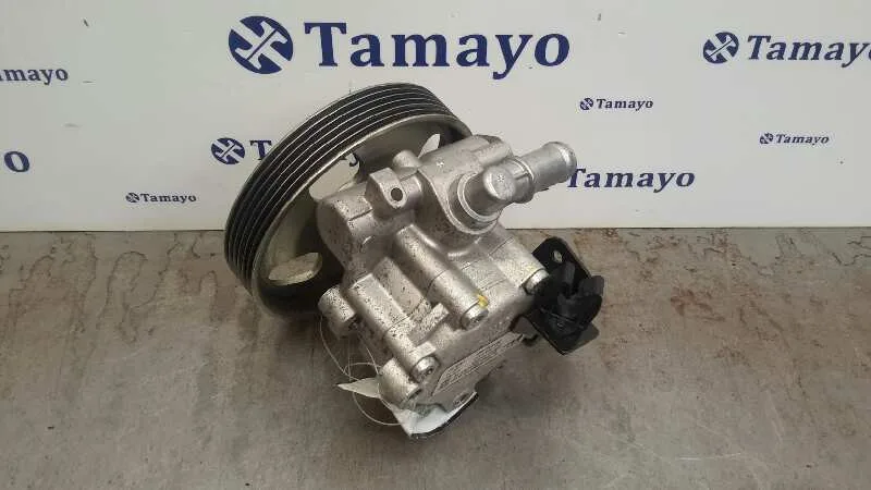 Bomba Servodireccion para Fiat Scudo (222)