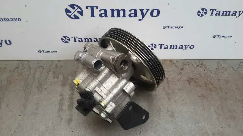 Bomba Servodireccion para Fiat Scudo (222)