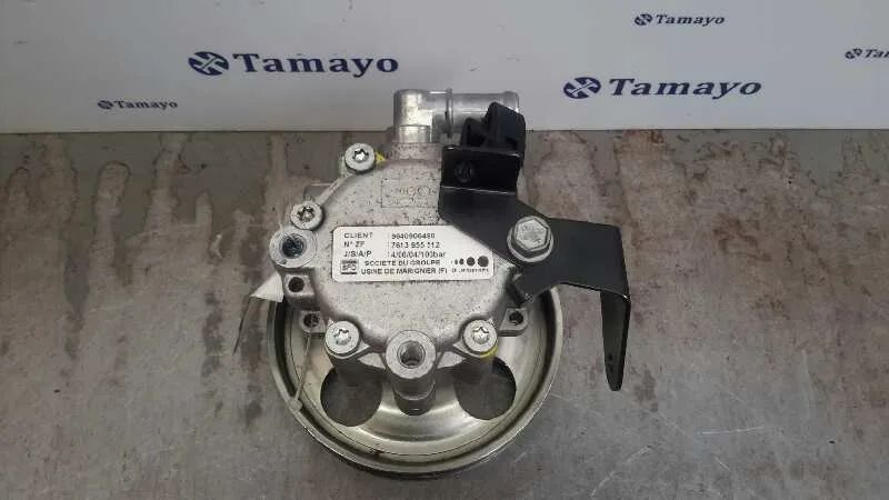 Bomba Servodireccion para Fiat Scudo (222)