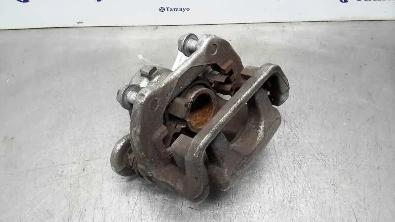 Pinza Freno Trasera Izquierda para Bmw Serie 3 Berlina (E90)
