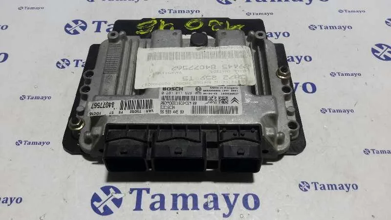 Centralita Motor Uce para Peugeot 307 Break / Sw (S1)