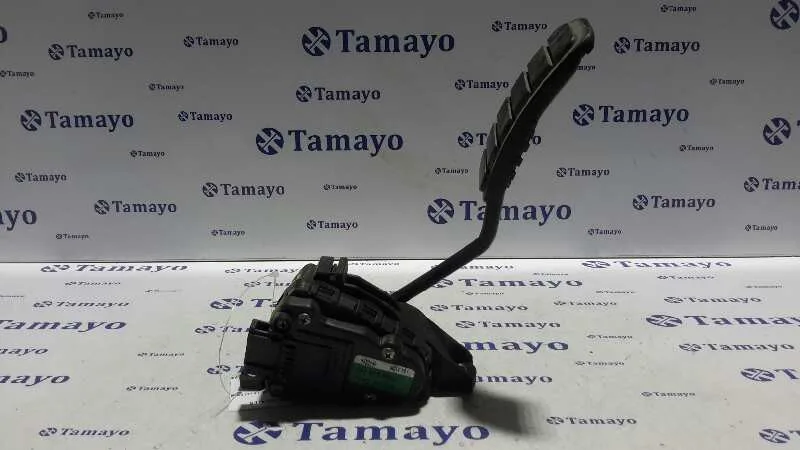Potenciometro Pedal para Nissan Interstar Mod. 04 (X70)
