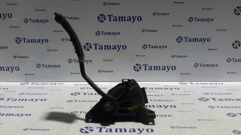 Potenciometro Pedal para Renault Master Ii Phase 2 Caja Cerrada