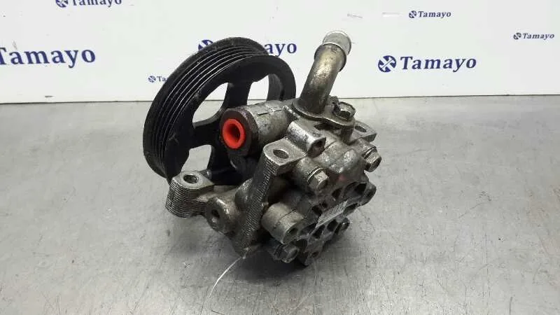 Bomba Servodireccion para Ford Transit Connect (Tc7)