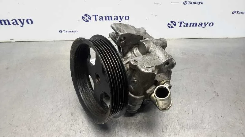 Bomba Servodireccion para Ford Transit Connect (Tc7)