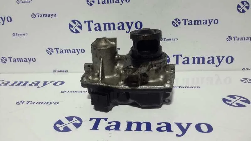 Valvula Egr para Nissan Qashqai (J10)