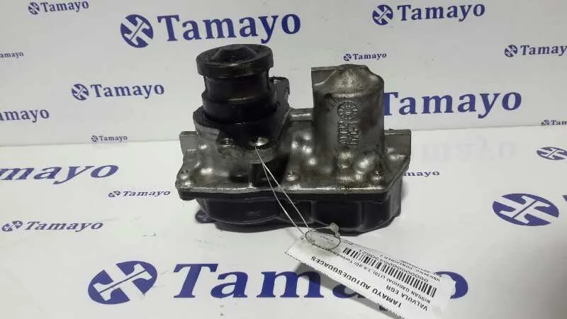 Valvula Egr para Nissan Qashqai (J10)