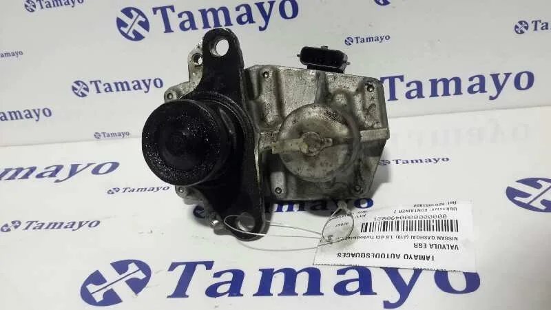Valvula Egr para Nissan Qashqai (J10)