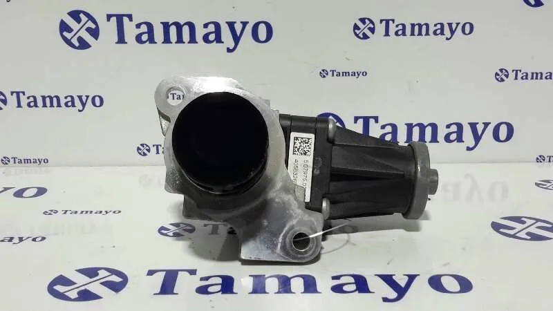Valvula Egr para Nissan Qashqai (J10)