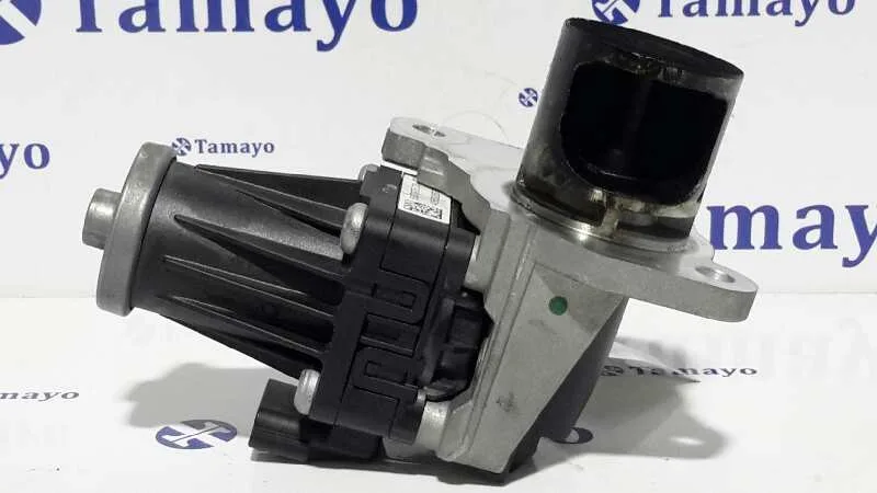 Valvula Egr para Nissan Qashqai (J10)