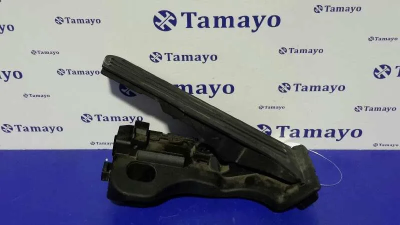 Potenciometro Pedal para Seat Leon (1P1)