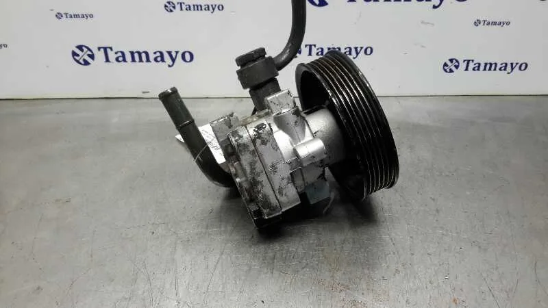 Bomba Servodireccion para Hyundai Trajet (Fo)