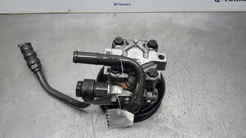 Bomba Servodireccion para Hyundai Trajet (Fo)