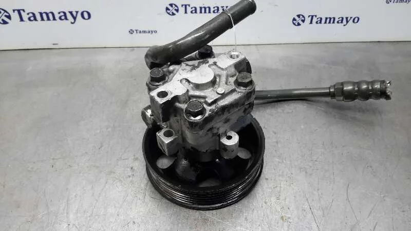 Bomba Servodireccion para Hyundai Trajet (Fo)