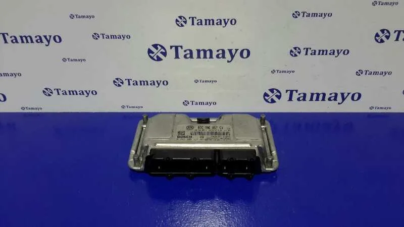 Centralita Motor Uce para Seat Ibiza (6J5)