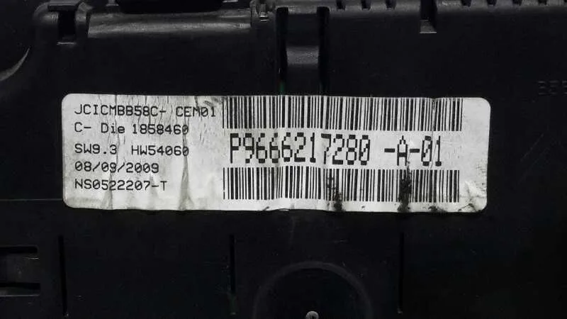 Cuadro Instrumentos para Citroën C4 Picasso