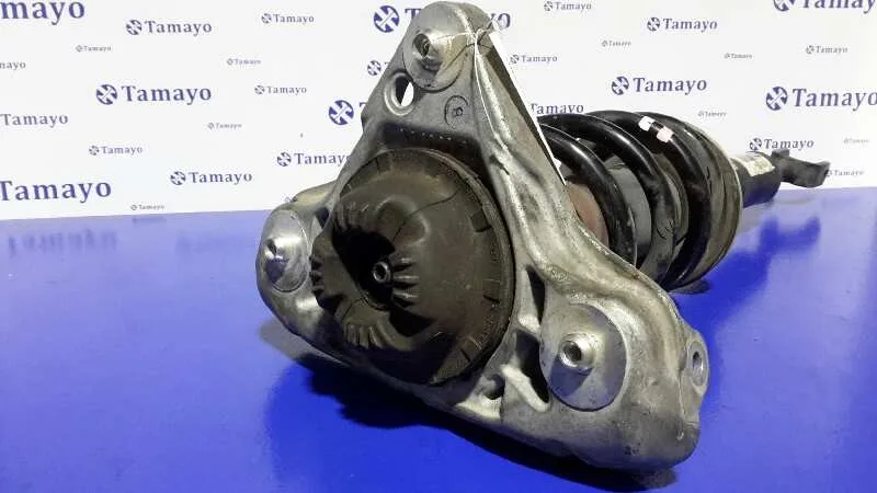 Amortiguador Delantero Derecho para Seat Exeo Berlina (3R2)